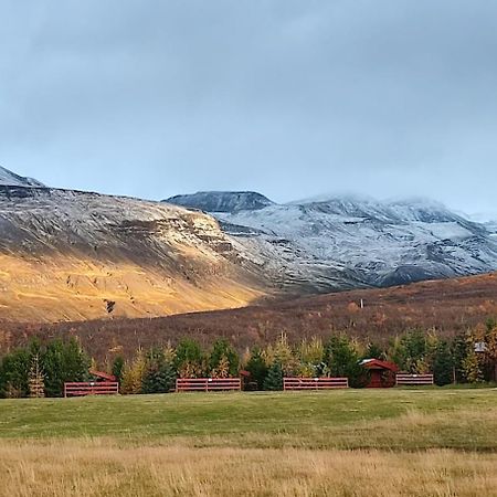 Stora Sandfell Rooms And Cottages Екстер'єр фото